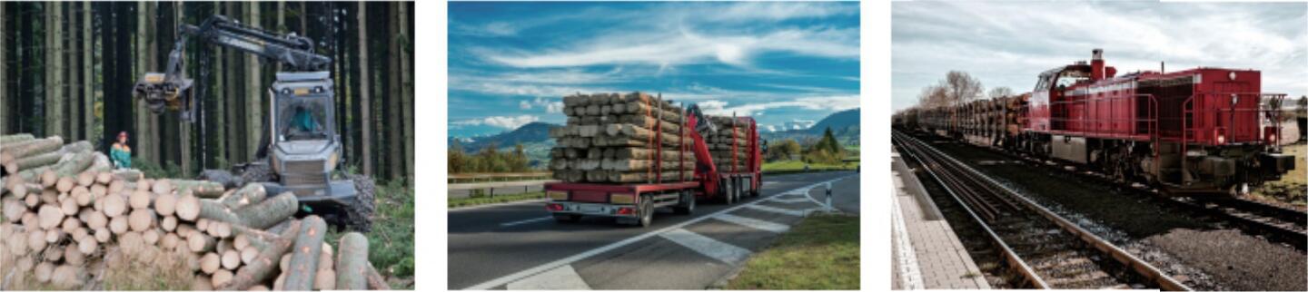Swedish Timber Transport Management